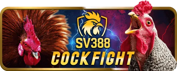 Hỗ trợ khách hàng 24/7 win3333 win